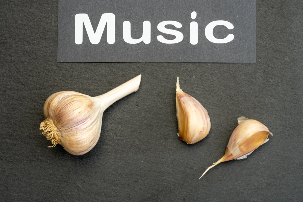 Music Culinary Garlic